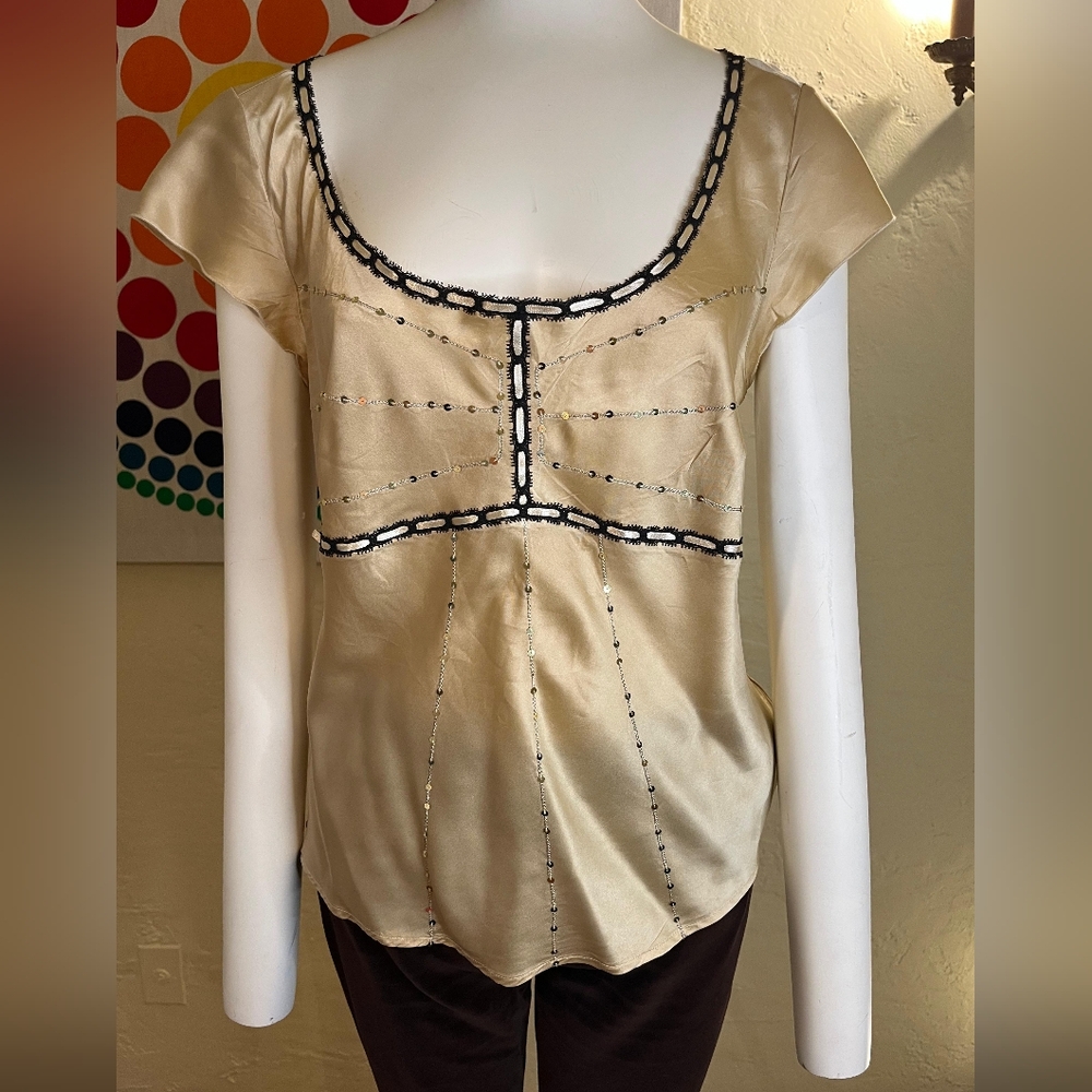 THE LIMITED Silk Champagne Blouse
